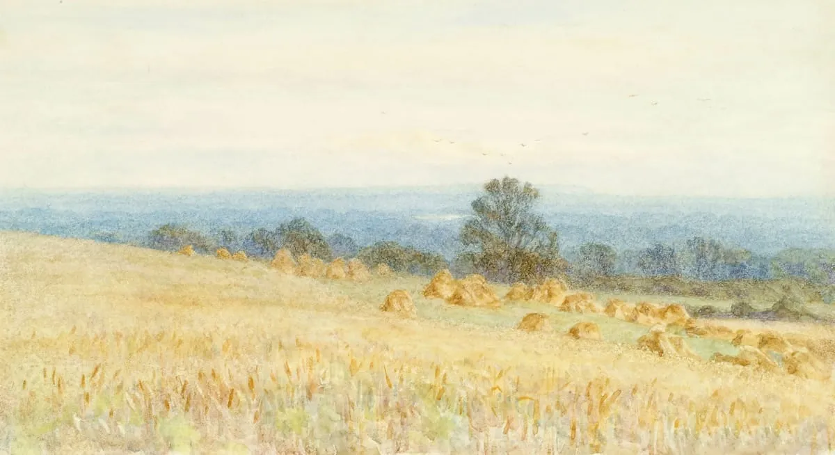 Palelotusgallery